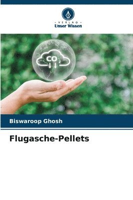 Flugasche-Pellets 1