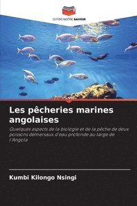 bokomslag Les pcheries marines angolaises