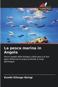 bokomslag La pesca marina in Angola