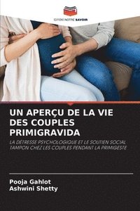 bokomslag Un Aperu de la Vie Des Couples Primigravida