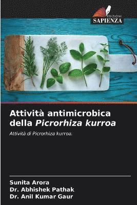 Attivit antimicrobica della Picrorhiza kurroa 1