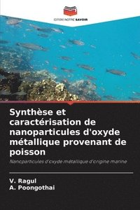 bokomslag Synthse et caractrisation de nanoparticules d'oxyde mtallique provenant de poisson
