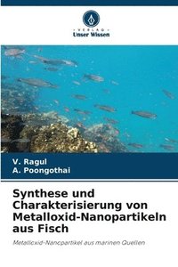 bokomslag Synthese und Charakterisierung von Metalloxid-Nanopartikeln aus Fisch
