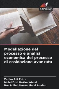bokomslag Modellazione del processo e analisi economica del processo di ossidazione avanzata