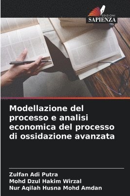 Modellazione del processo e analisi economica del processo di ossidazione avanzata 1
