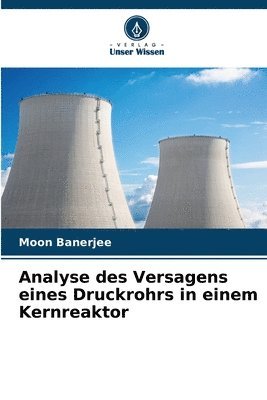 Analyse des Versagens eines Druckrohrs in einem Kernreaktor 1