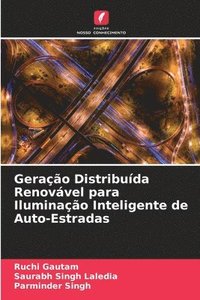 bokomslag Gerao Distribuda Renovvel para Iluminao Inteligente de Auto-Estradas