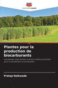 bokomslag Plantes pour la production de biocarburants