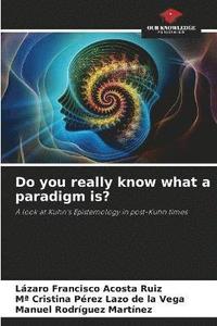 bokomslag Do you really know what a paradigm is?