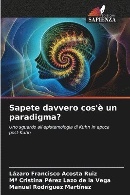 bokomslag Sapete davvero cos' un paradigma?