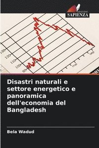 bokomslag Disastri naturali e settore energetico e panoramica dell'economia del Bangladesh