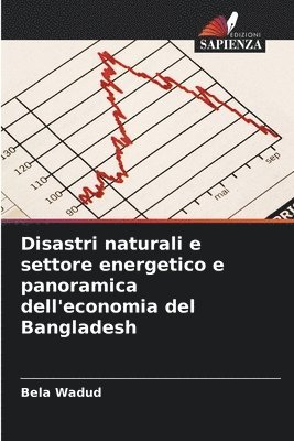 Disastri naturali e settore energetico e panoramica dell'economia del Bangladesh 1