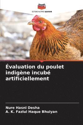 valuation du poulet indigne incub artificiellement 1
