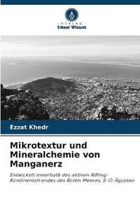 bokomslag Mikrotextur und Mineralchemie von Manganerz