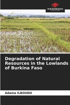 bokomslag Degradation of Natural Resources in the Lowlands of Burkina Faso