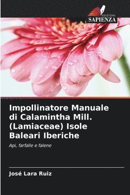 Impollinatore Manuale di Calamintha Mill. (Lamiaceae) Isole Baleari Iberiche 1