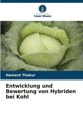 bokomslag Entwicklung und Bewertung von Hybriden bei Kohl