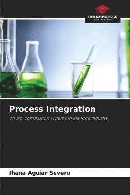 bokomslag Process Integration