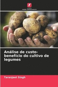 bokomslag Anlise de custo-benefcio do cultivo de legumes