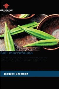 bokomslag Soil macrofauna