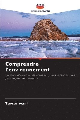 bokomslag Comprendre l'environnement