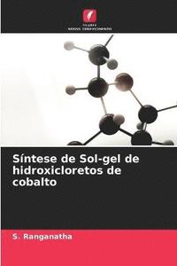 bokomslag Sntese de Sol-gel de hidroxicloretos de cobalto