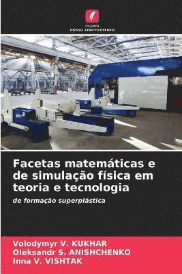 bokomslag Facetas matemticas e de simulao fsica em teoria e tecnologia