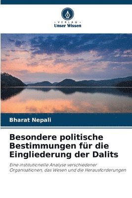 bokomslag Besondere politische Bestimmungen fr die Eingliederung der Dalits