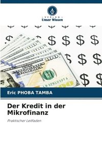 bokomslag Der Kredit in der Mikrofinanz