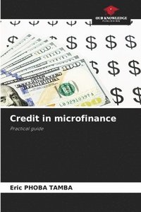 bokomslag Credit in microfinance