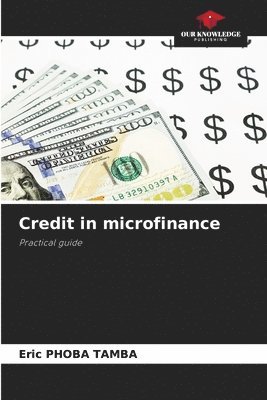 Credit in microfinance 1
