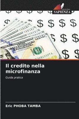 Il credito nella microfinanza 1