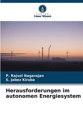 Herausforderungen im autonomen Energiesystem 1