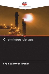 bokomslag Chemines de gaz