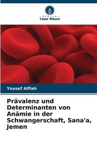 bokomslag Prvalenz und Determinanten von Anmie in der Schwangerschaft, Sana'a, Jemen