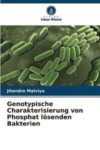 bokomslag Genotypische Charakterisierung von Phosphat lsenden Bakterien