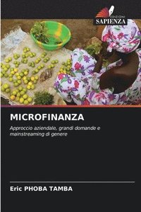 bokomslag Microfinanza