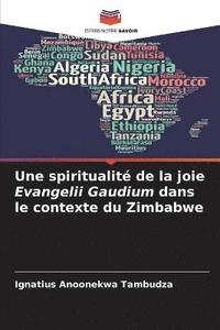 bokomslag Une spiritualit de la joie Evangelii Gaudium dans le contexte du Zimbabwe