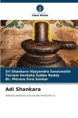 bokomslag Adi Shankara