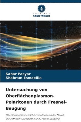 bokomslag Untersuchung von Oberflchenplasmon-Polaritonen durch Fresnel-Beugung