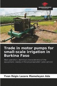 bokomslag Trade in motor pumps for small-scale irrigation in Burkina Faso