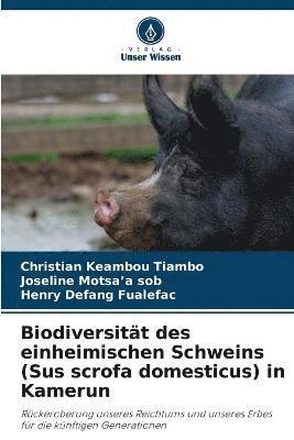 bokomslag Biodiversitt des einheimischen Schweins (Sus scrofa domesticus) in Kamerun