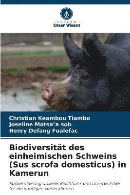 Biodiversitt des einheimischen Schweins (Sus scrofa domesticus) in Kamerun 1
