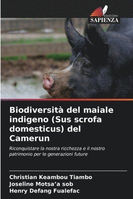 Biodiversit del maiale indigeno (Sus scrofa domesticus) del Camerun 1