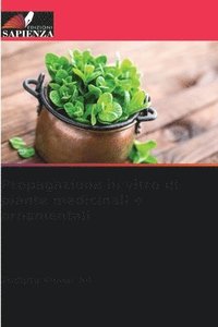 bokomslag Propagazione in vitro di piante medicinali e ornamentali