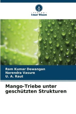 Mango-Triebe unter geschtzten Strukturen 1