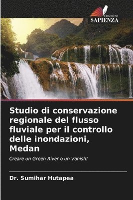 Studio di conservazione regionale del flusso fluviale per il controllo delle inondazioni, Medan 1