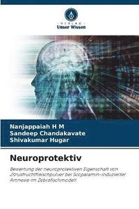 bokomslag Neuroprotektiv