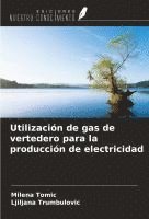 bokomslag Utilización de gas de vertedero para la producción de electricidad