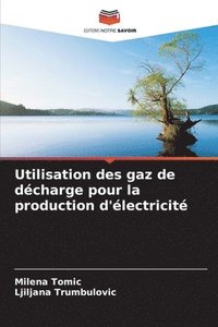 bokomslag Utilisation des gaz de décharge pour la production d'électricité